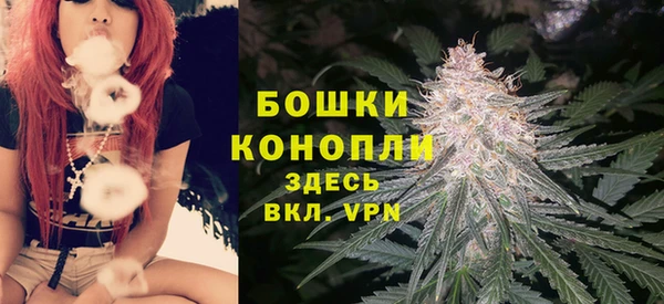крисы Богородск