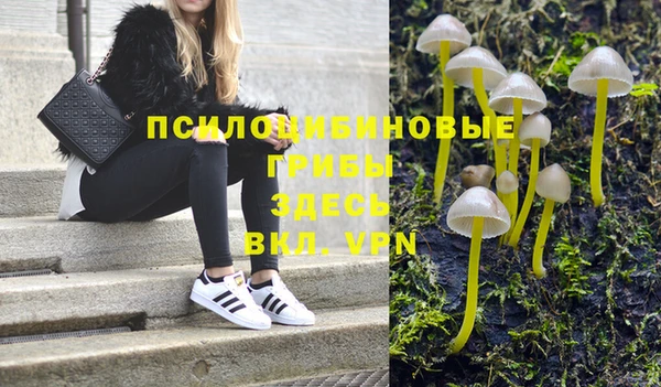кокаин перу Богданович