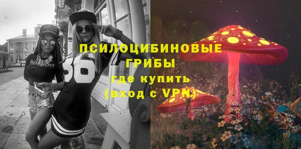 крисы Богородск