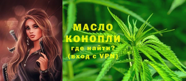 крисы Богородск