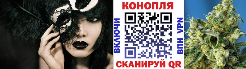 Бошки Шишки тримм  где найти наркотики  Липецк 